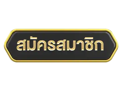 แบนเนอร์ 4